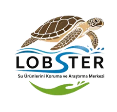 LOBSTER ENSTİTÜSÜ